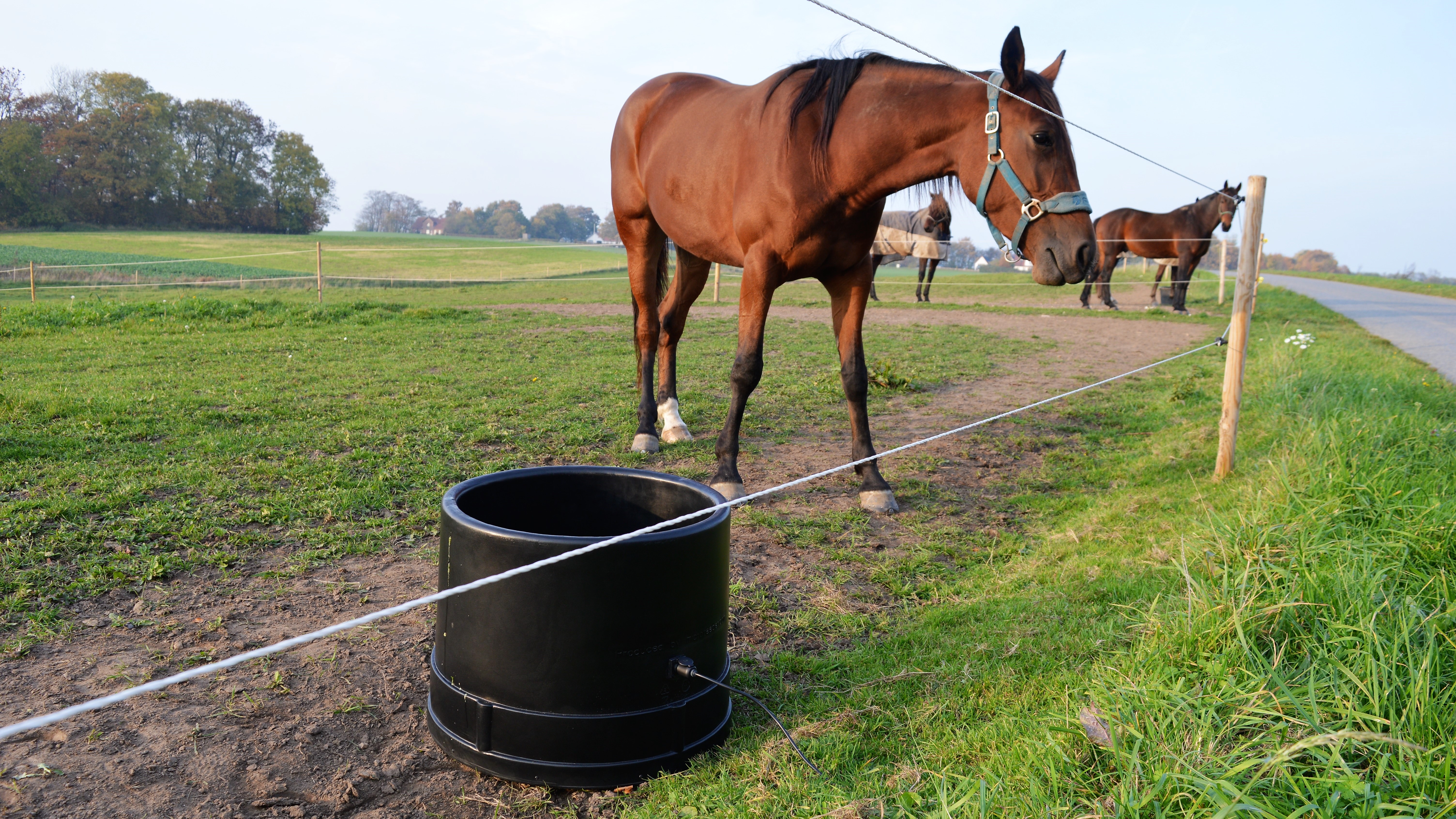 MicroFeeder Heated Water Trough