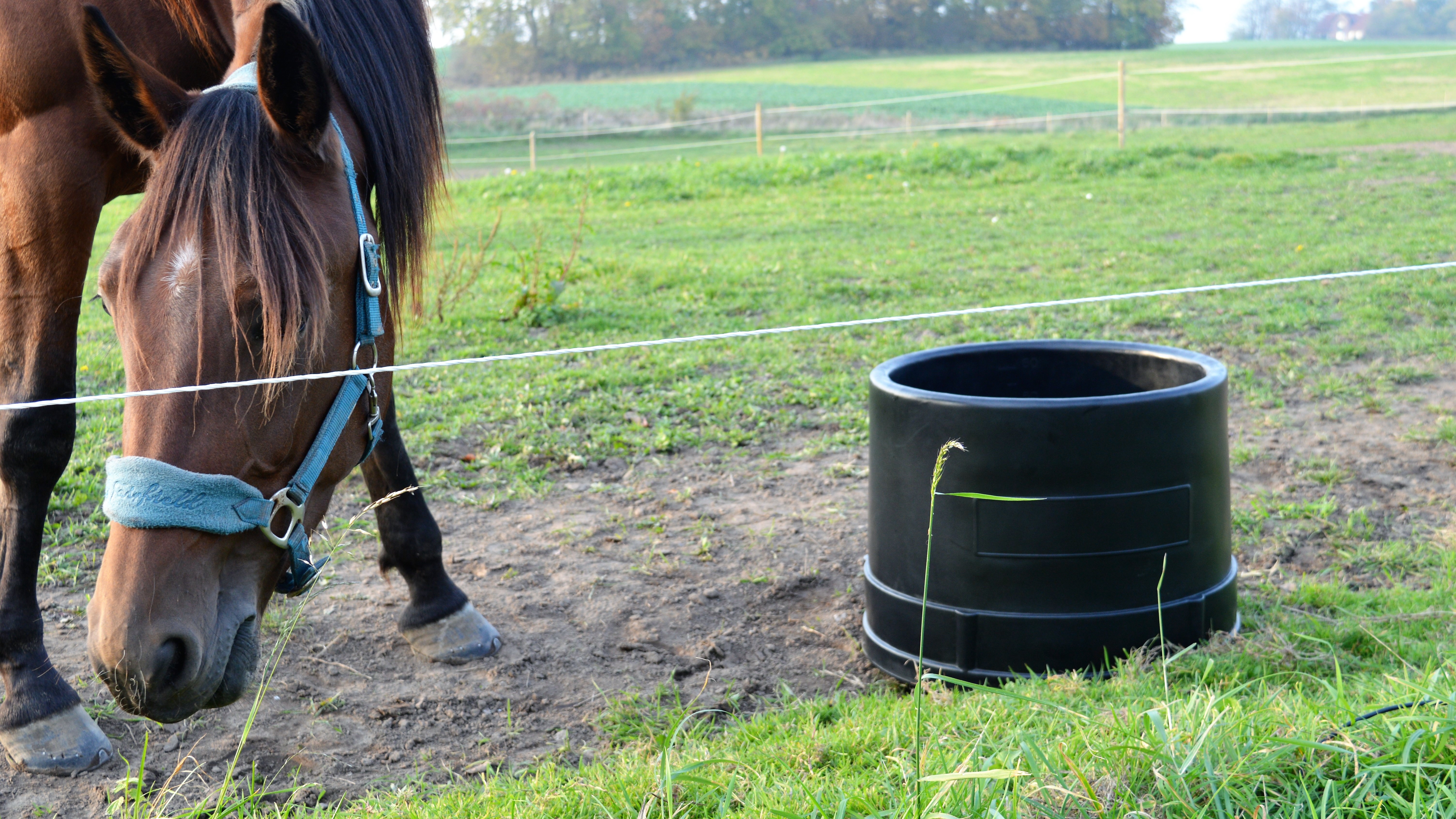 MicroFeeder Heated Water Trough