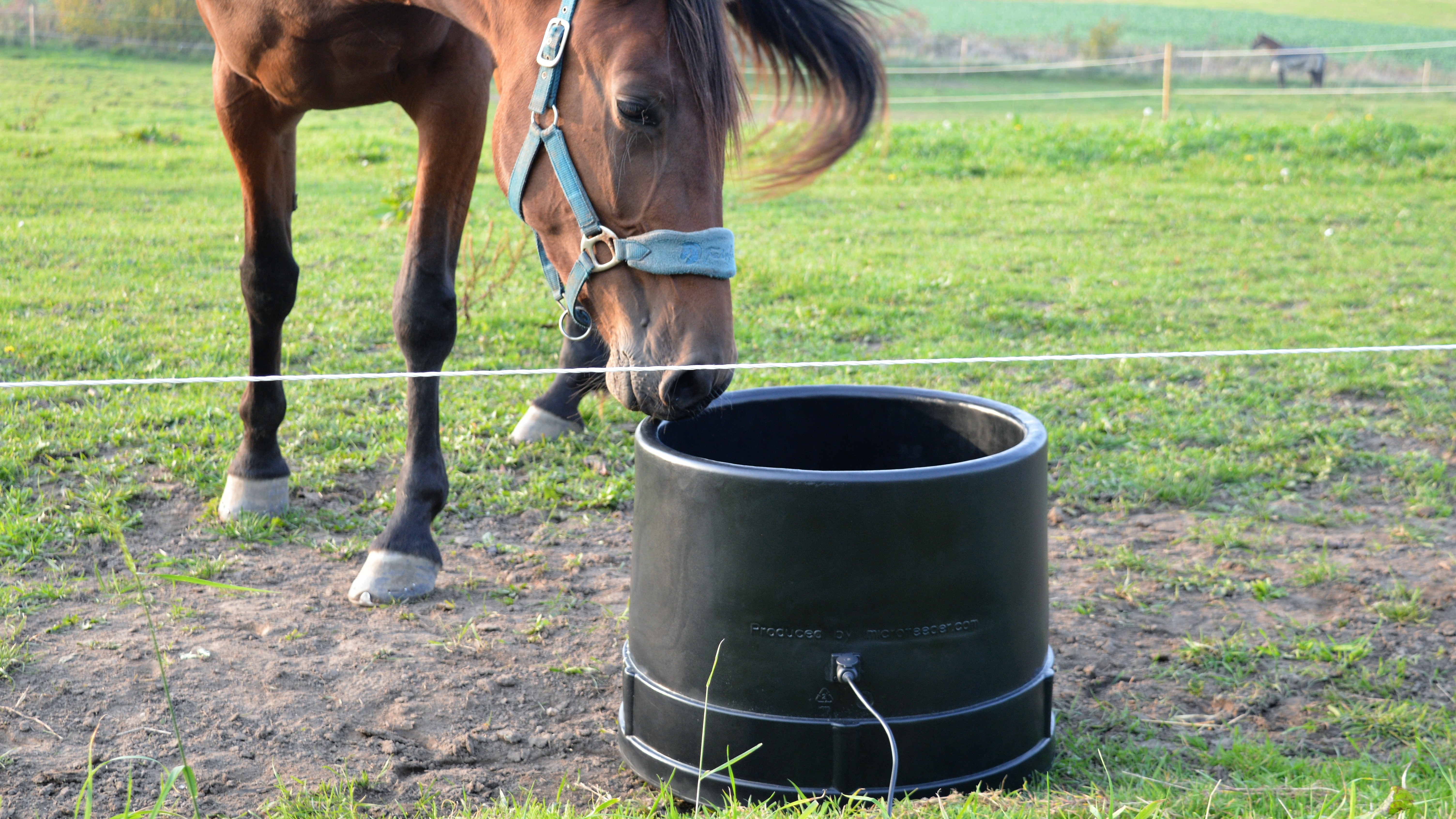Microfeeder Heated Water Trough