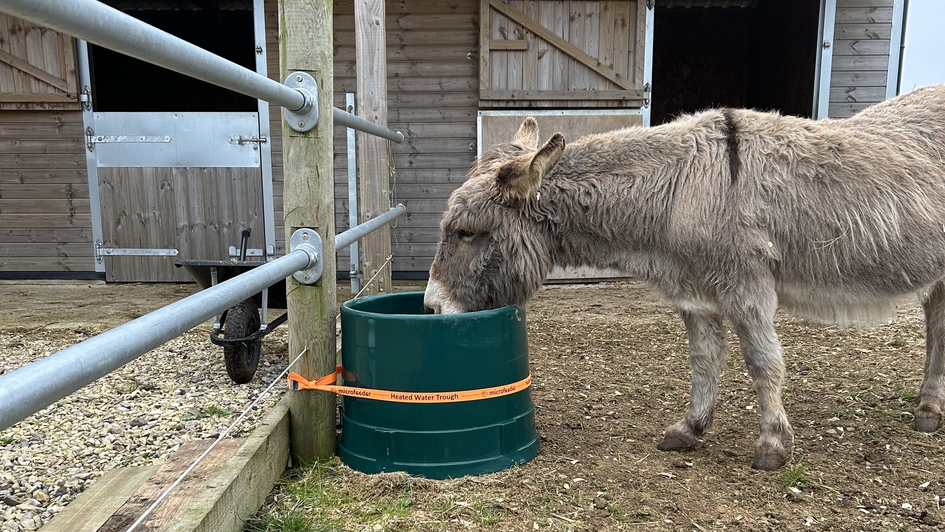Keeping the drinking water tempered and the horses hydrated is a key to successful equine management in the wintertime. Photo kindly provided by https://www.pv-supplies.com.