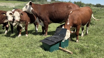 MicroFeeder