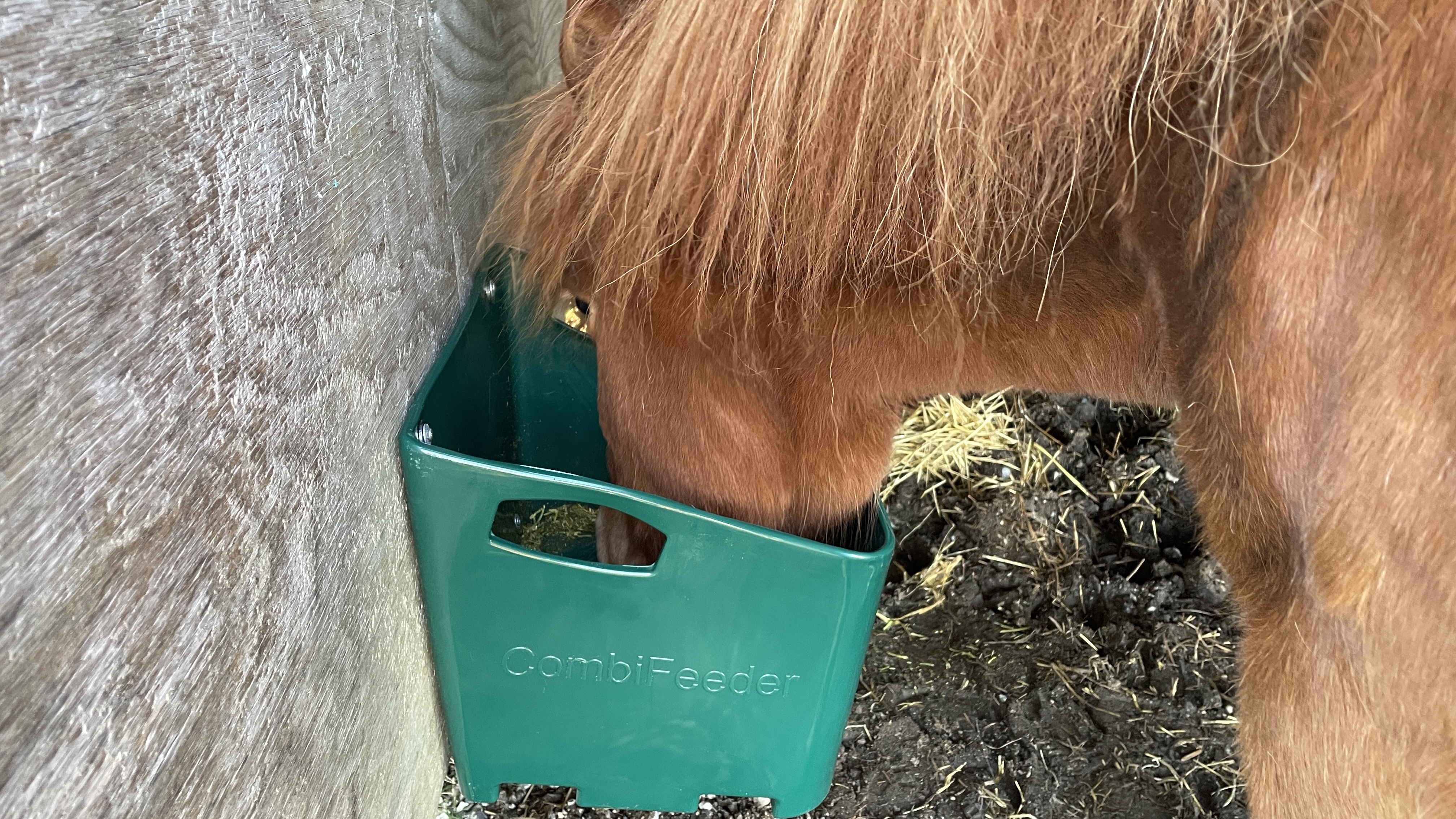 Use the CombiFeeder trough for feeding horses in the paddock or use it as a trough mounted on the wall inside the horse stable
