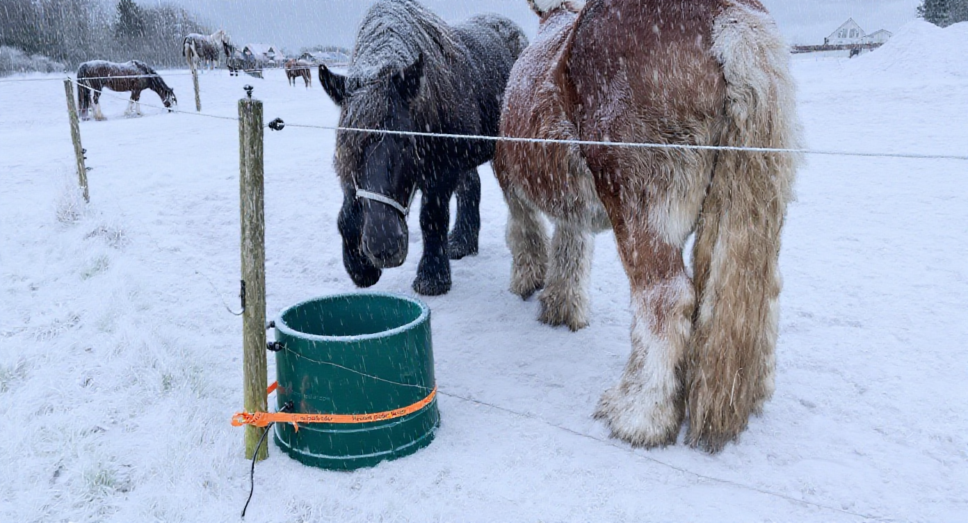 Keeping the drinking water tempered and the horses hydrated is a key to successful equine management in the wintertime. 