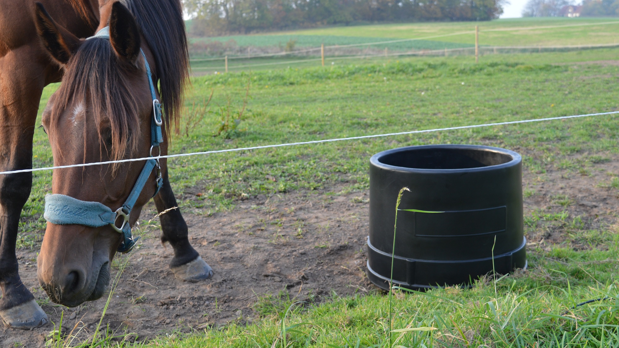 Worlds Best Mineral Feeders